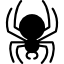 spider icon